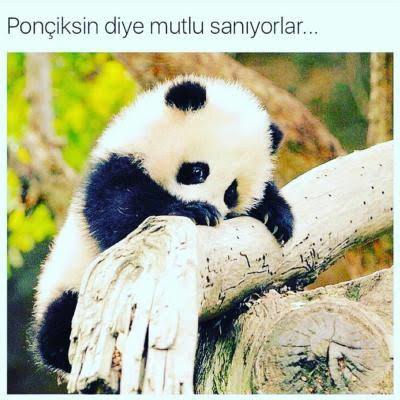 Herkese bir şey lazım, sana ne lazım?