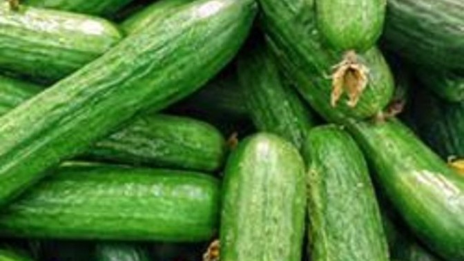 Organik salatalığı nerden anlarsınız?