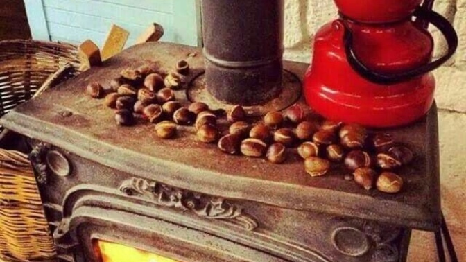 En sevdiğiniz, görünce dayanamadığınız sokak lezzeti hangisi?
