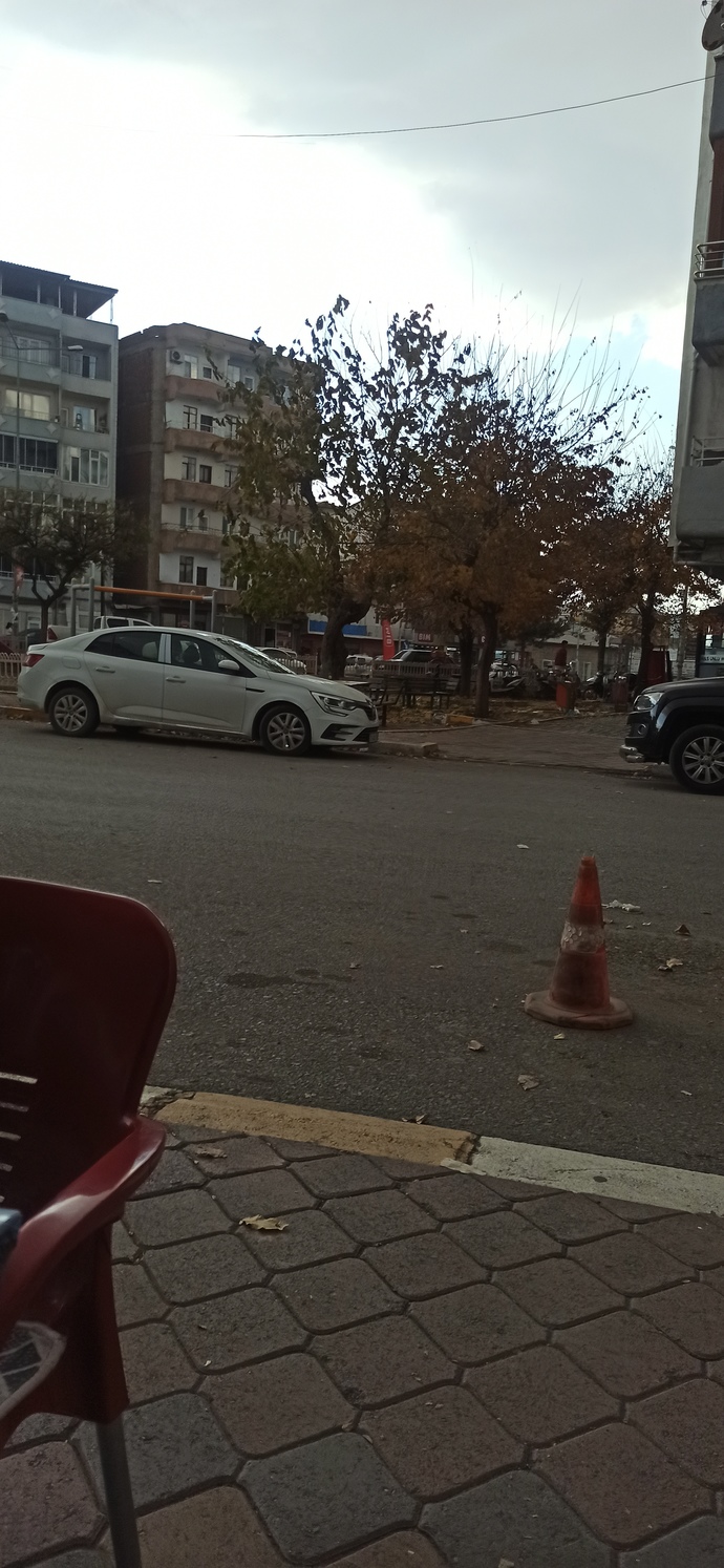 Yaşadığınız yerde kış mı baskın sonbahar mı?