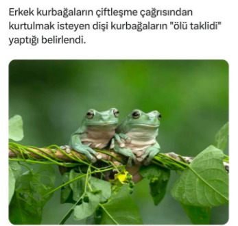 dfghdf