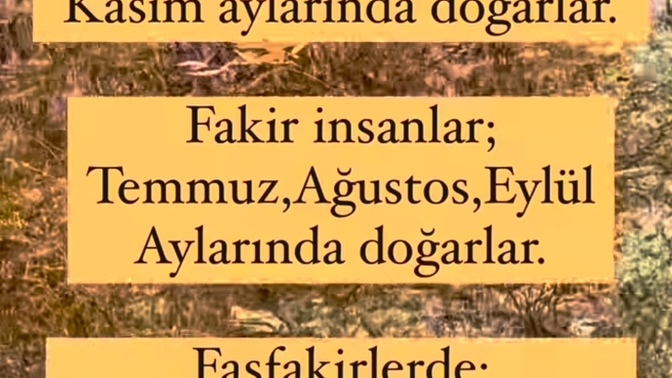 Siz hangi ay doğdunuz?