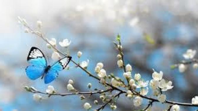 Hangi hava veya mevsimde huzur buluyorsunuz?