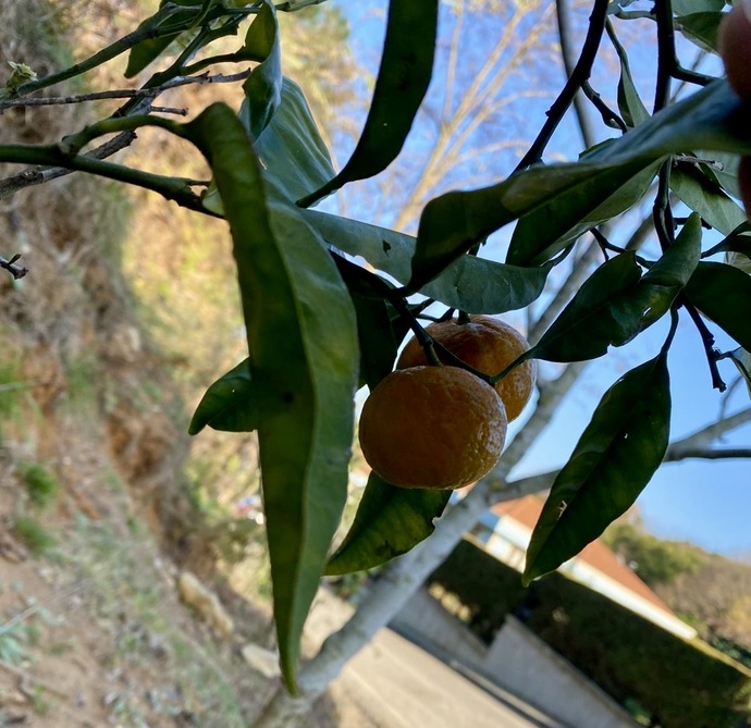 Gününüz sevgi 🫶🏼 dolu geçsin✌🏻