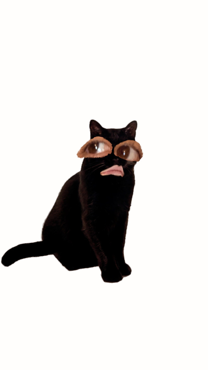 Kara kedi olmak