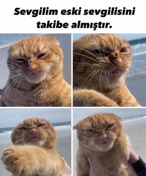 Sevgilin eski sevgilisini takibe alsa ne yaparsın?