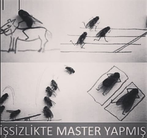 Para önemli olmasaydı hayalindeki iş ne olurdu?