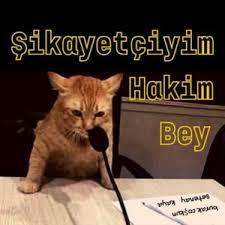 Son zamanlar da en çok neyden şikayetçisin?