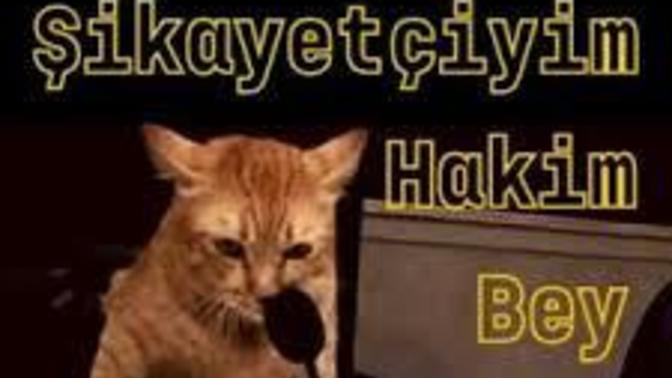 Son zamanlar da en çok neyden şikayetçisin?
