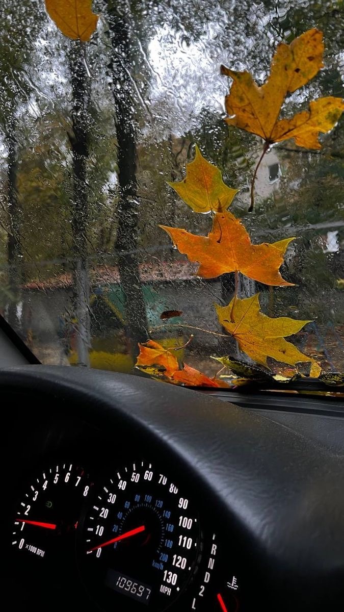Orada yağmur yağıyor mu?