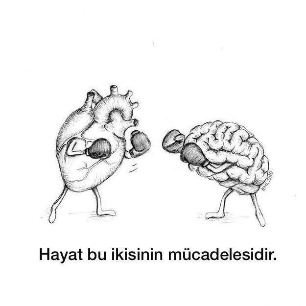 Akıllı insan ile mı yoksa aşık insan ile mı evlenilir?