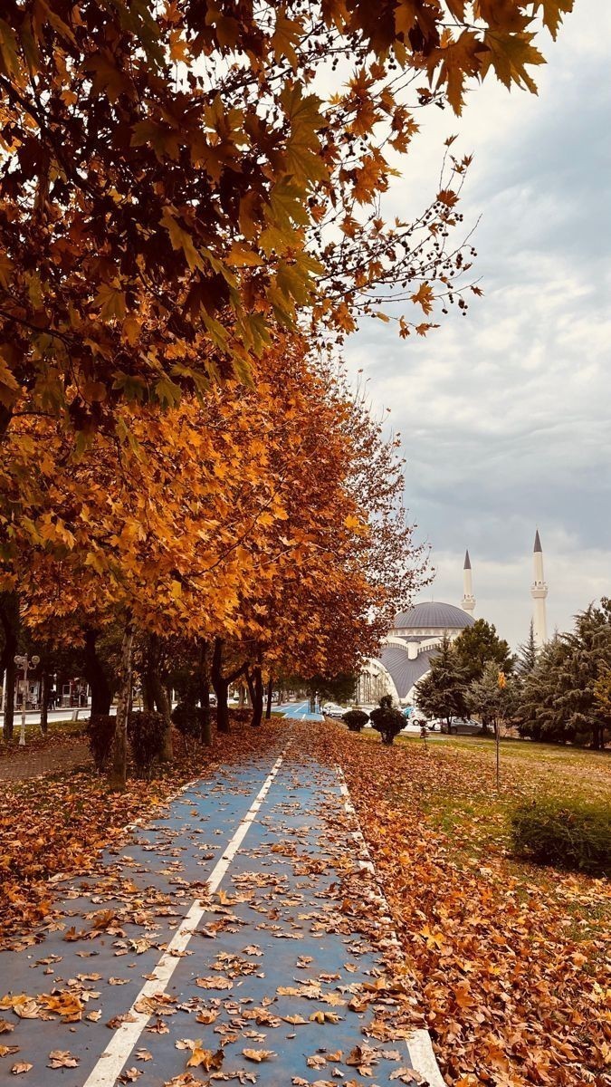 Kadinlar mı daha çabuk unutur erkekler mi?