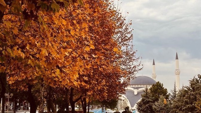 Kadinlar mı daha çabuk unutur erkekler mi?