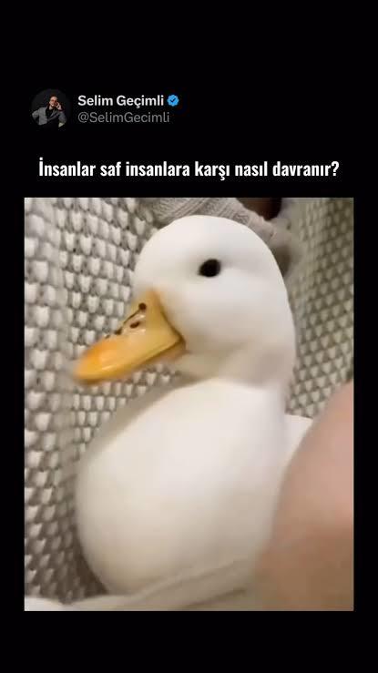 İyi niyetli olmak toplum da neden saf insan olarak algılanır?
