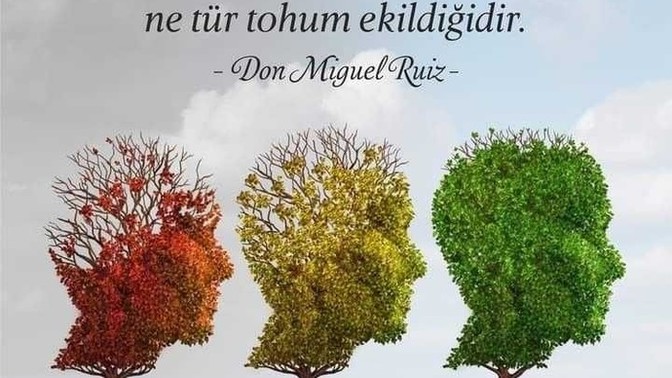 Düşüncelerin zihnin seni yönettiğini biliyor musun?
