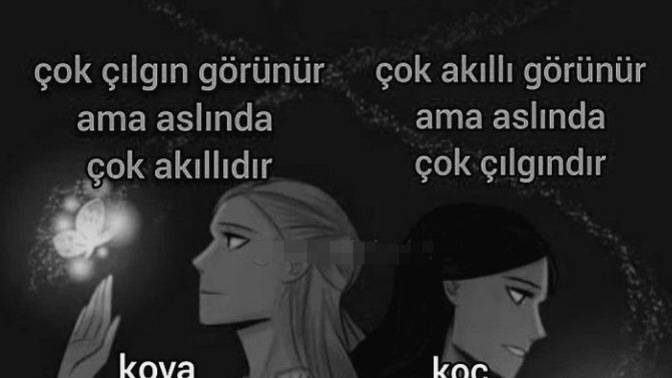 Çılgın ve akıllı görünen burçlar hangisidir?