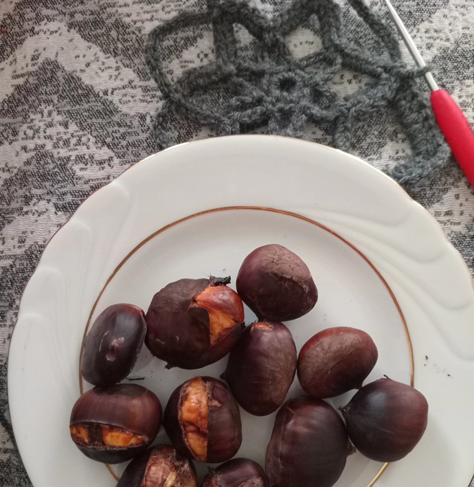 Kestane kebap yemeyen slak