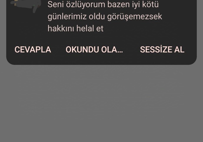 Eski sevgilime en iyi cevap ne olur?