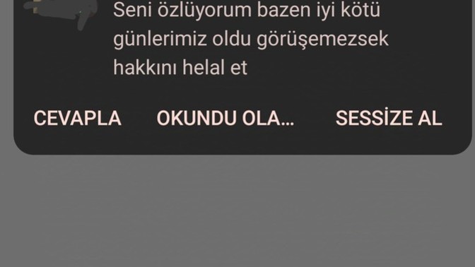 Eski sevgilime en iyi cevap ne olur?