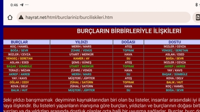 Aslanlar sizin dostunuz ikizler niçin anlamıyorsunuz?