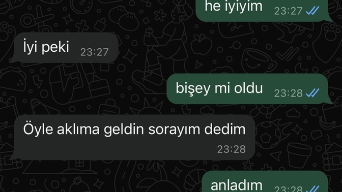 Eski sevgilim nasıl olduğumu sorup bunları yazıp whatsaptan engelledi instagramdan engeli açmış sebep?