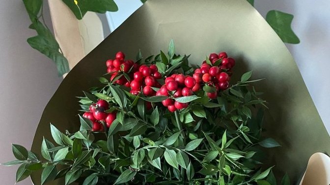 Yeni yılda kim kime kokina çiçeği alacak?