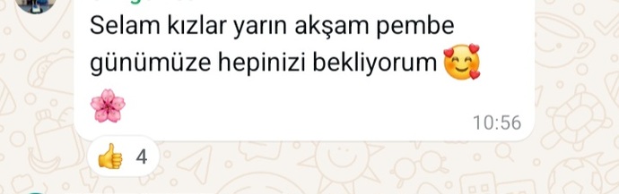 Pembe hiç bi şeyim olmaması dışında bi problem yok arkadaşım teşeke