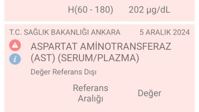 Bunlar ne anlama geliyor?