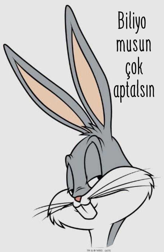 Özlersin özlemez ler özlemesin özlerler nasıl bir iş bu 😂😂