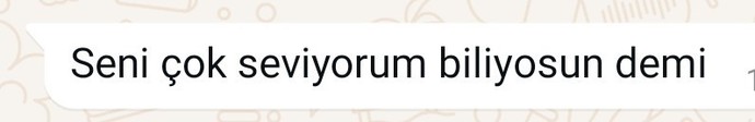 Sürekli bir erkek seni seviyorum neden yazar?