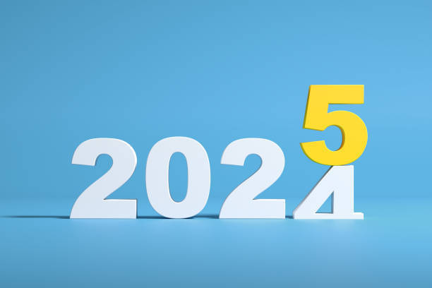 Güle güle 2024...