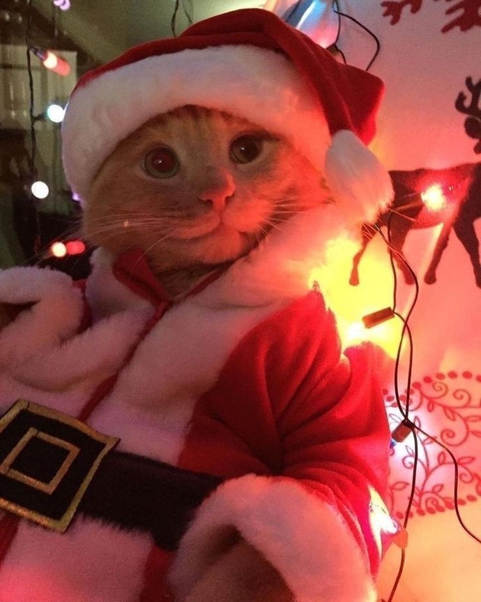 Yılbaşında, Noel Baba olsaydım size hangi hediyeyi verirdim söyleyim mi?