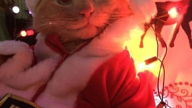 Yılbaşında, Noel Baba olsaydım size hangi hediyeyi verirdim söyleyim mi?