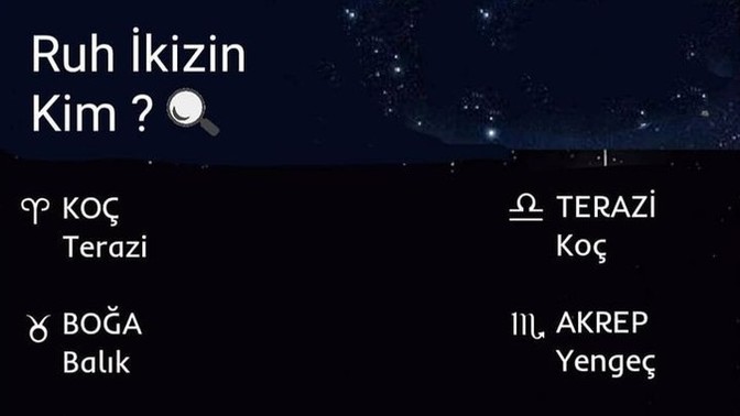 Sizin ruh ikiziniz hangi burç?