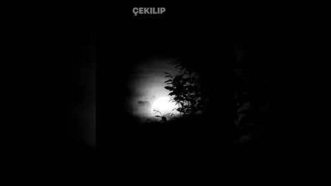 Özlemek mi günah özletmek mi?
