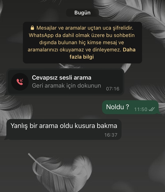 Arada eski sevgilinizi yoklar mısınız?