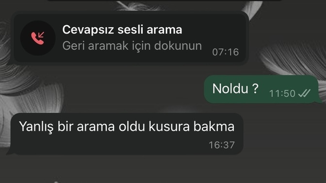 Arada eski sevgilinizi yoklar mısınız?
