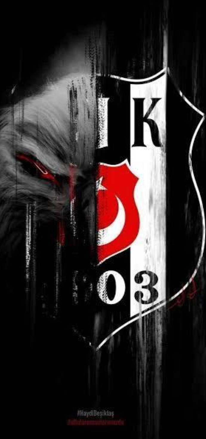 Bjk