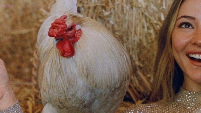 Her kadının bir horozu olmalı mıdır?