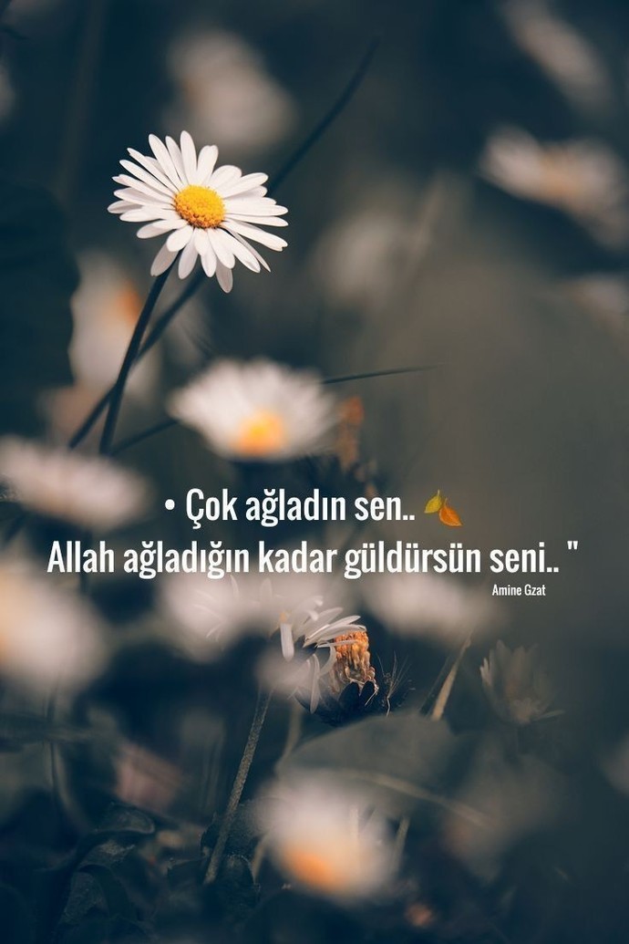 Yaşanacak güzel günler için hala umudunuz var mı?