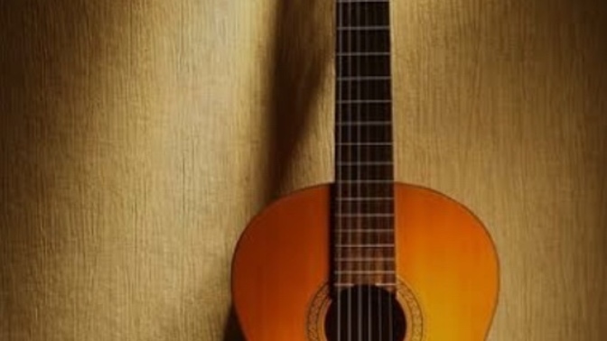 Sevgiliniz yılbaşı hediyesi olarak gitar 🎸 alsaydı ne olurdu?