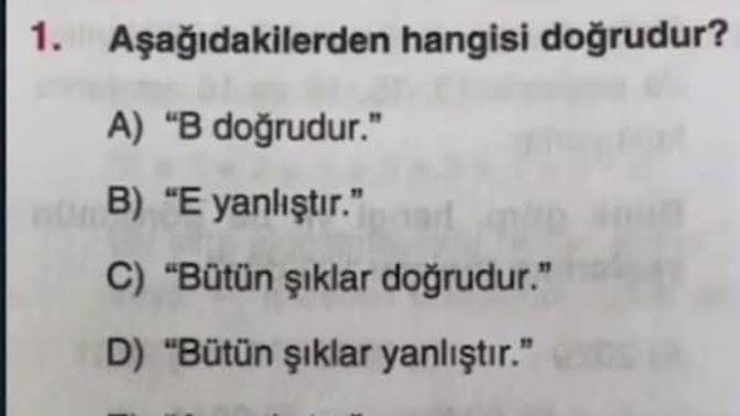 Doğru Cevap Hangisi?