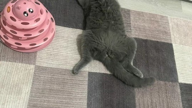 Baskası rahat etsin diye çalıştığınız oldu mu?