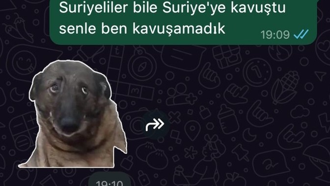 Sen neye kavuşamadın?