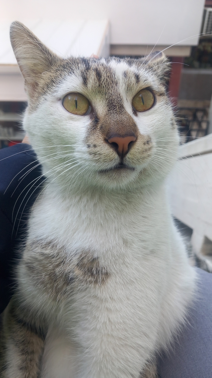 Bu sıpayla mutsuz olunmaz 🙂