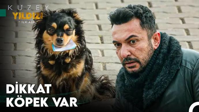 Köpeklerden korkar mısınız?