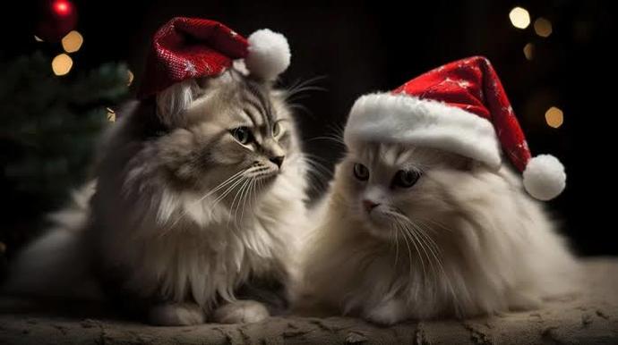 Cevapla, yeni yıl hediyeni kazan! 💝 En unutulmaz yılbaşı fotoğraflarında kimler var 📸🎊?