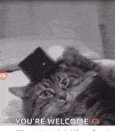 Parasız erkeği bir tek annesi mi sever?