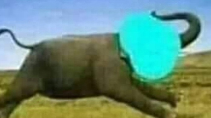 Hadi bakalım yüzünü boyadığım hayvanı bulabilecek misiniz?🤭🤭seçim için başka şans hakkı vermiyorum ona göre bulun 🤭?