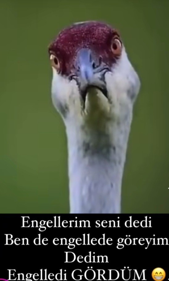 Engellendiğinizde ne hissediyorsunuz?